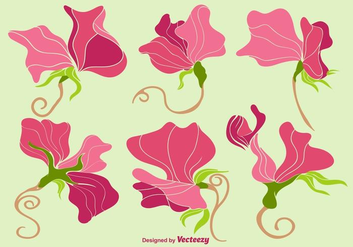 Colección colorida de la flor de los guisantes de olor del vector 162870 Vector en Vecteezy Colección colorida de la flor de los guisantes de olor del vector 162870 Vector en Vecteezy