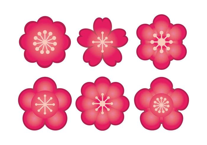 Plum blossom vector set