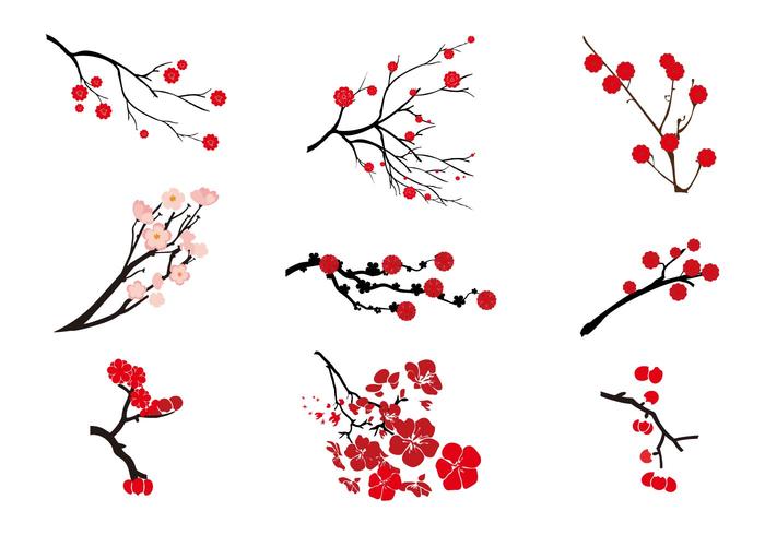 Vector Plum Blossom libre