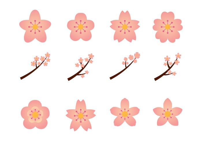 Floral Blossoms Graphics Set vector