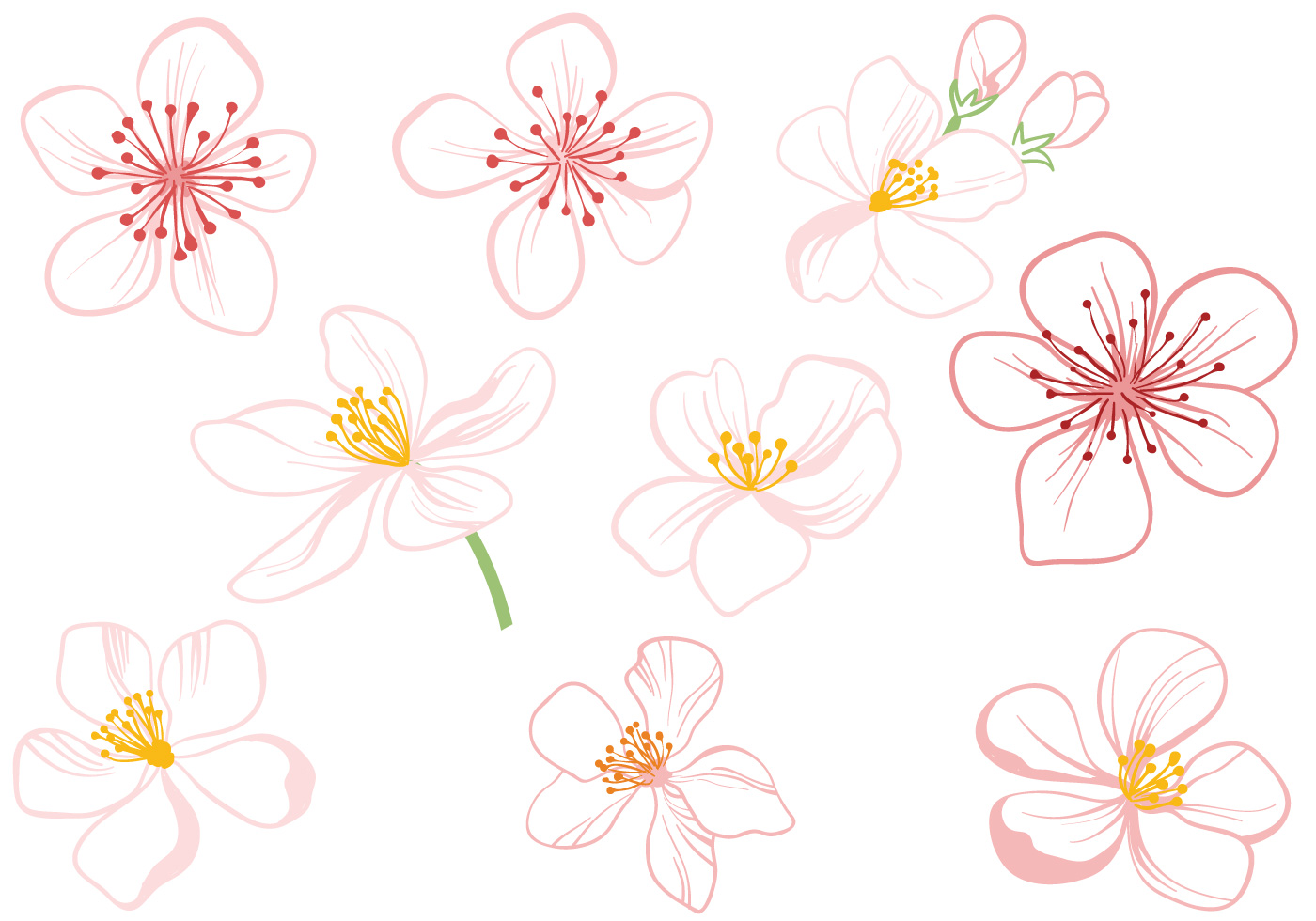 Free Plum Apple Blossom Vector Art At Vecteezy Free Plum Apple Blossom Vector Art At Vecteezy