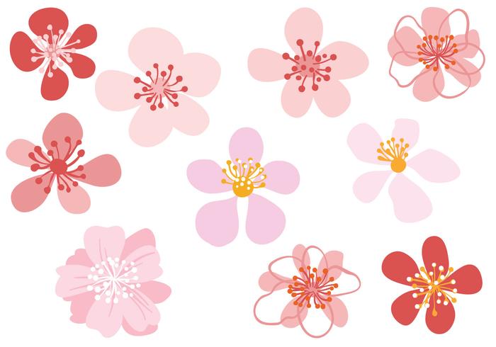 Free Blossoms Vectors