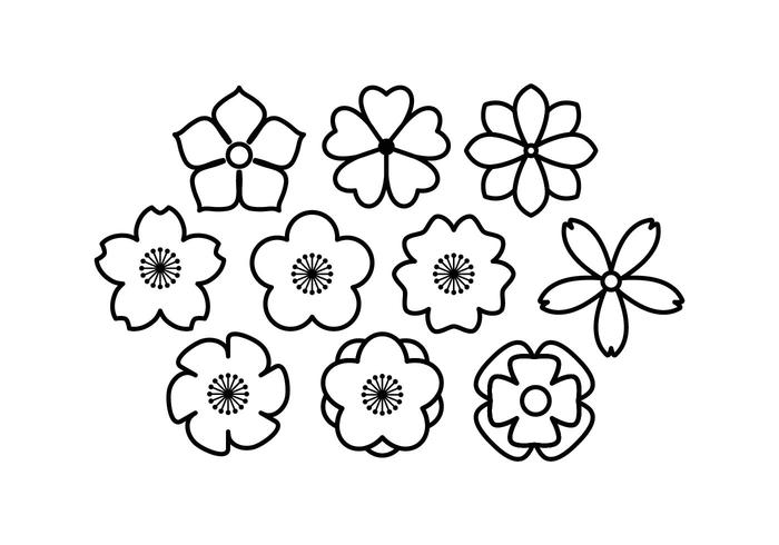 Free Blossom Line Icon Vector