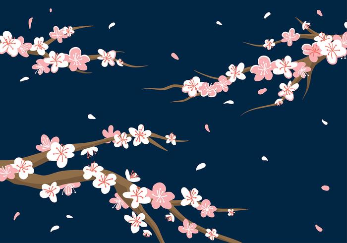 Plum Blossom Background Vector