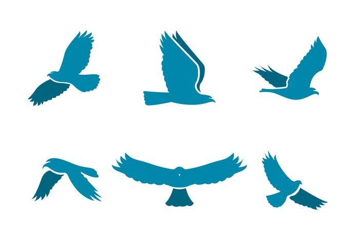 Buzzard Logo Vectorial vector