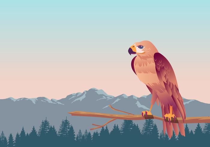 Buzzard Bird Vector 