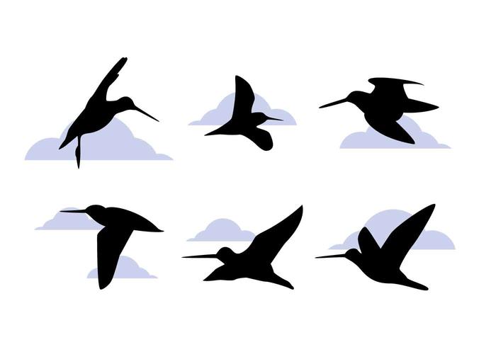 Free Outstanding Snipe Bird Vectors