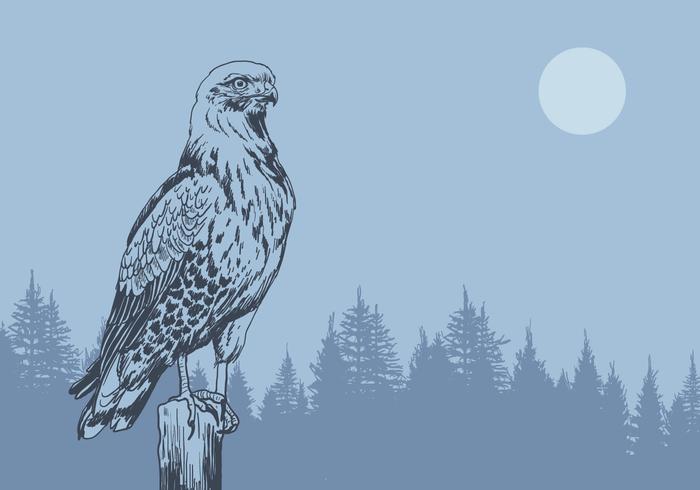 Buzzard in the Forest Vector 