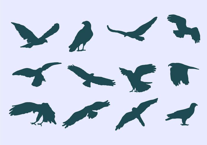 Iconos de águila de Buzzard vector