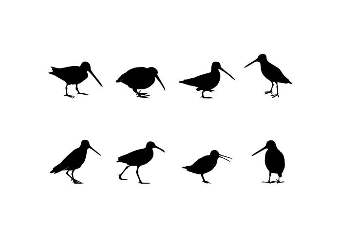 Silhouette Standing Snipe Free Vector