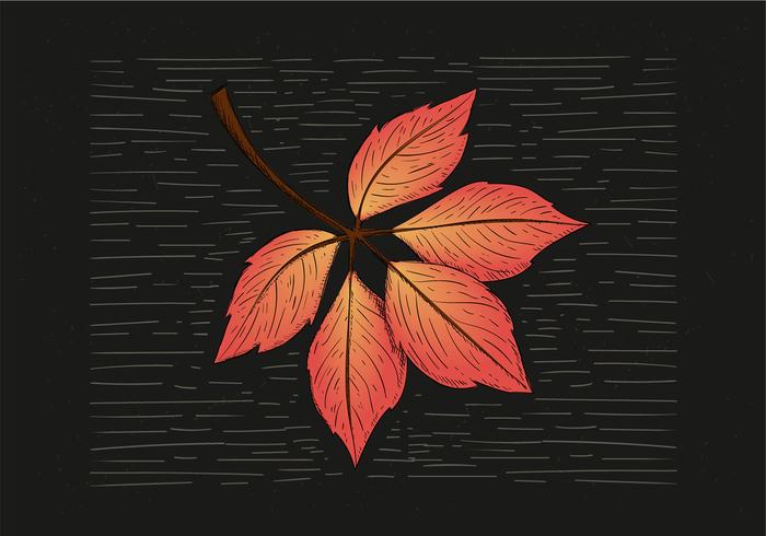 Mano libre dibujó la ilustración de la hoja del otoño vector