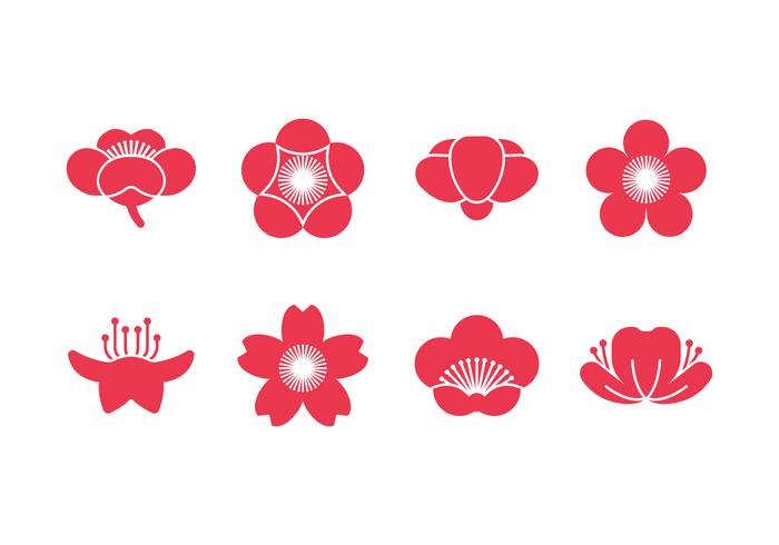 Iconos de vector de flor de ciruelo