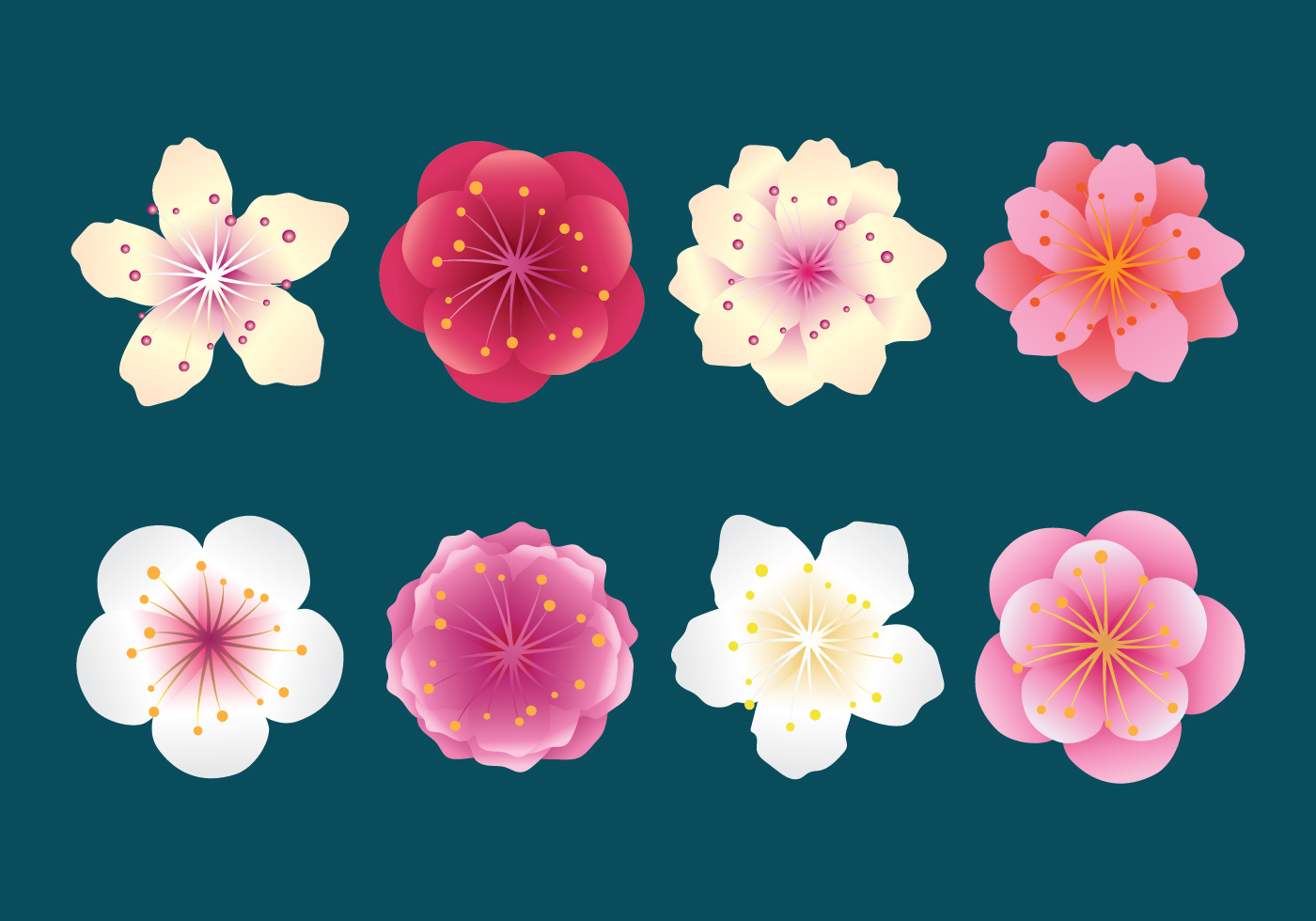 Collection Plum Blossom Telecharger Vectoriel Gratuit, Clipart