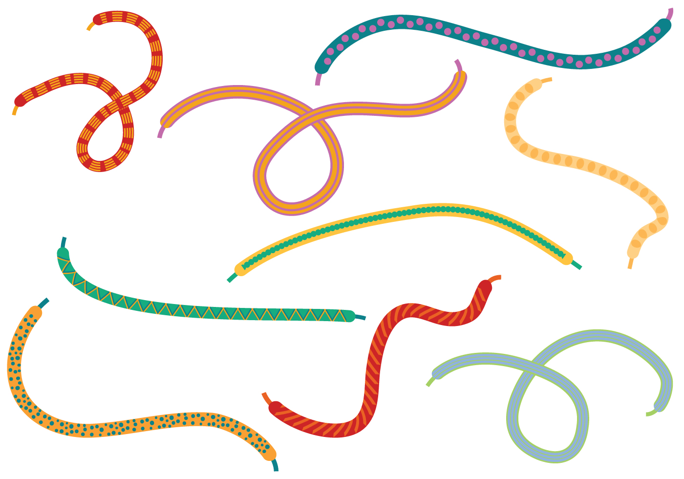 Free Shoelace Vectors 163786 Vector Art at Vecteezy