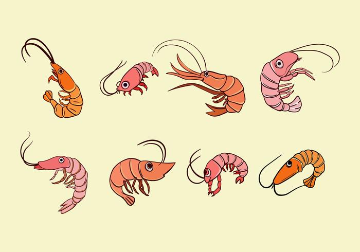 Cartoon Prawns Vector