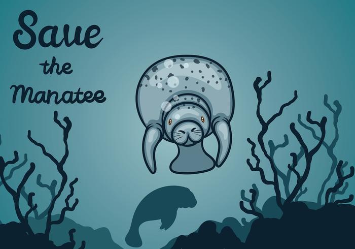 Manatee Vector