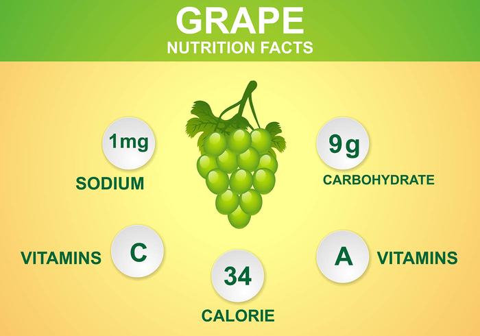 Vector de nutrición nutricional de la uva