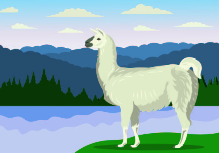 Vector Illustration Of Llama 