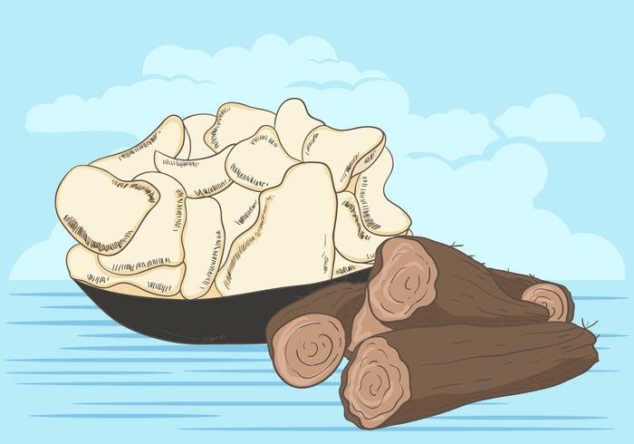 Vector Of Cassava Root With Cassava Crackers