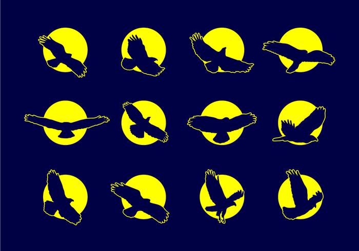 Buzzard Eagle Icons vector