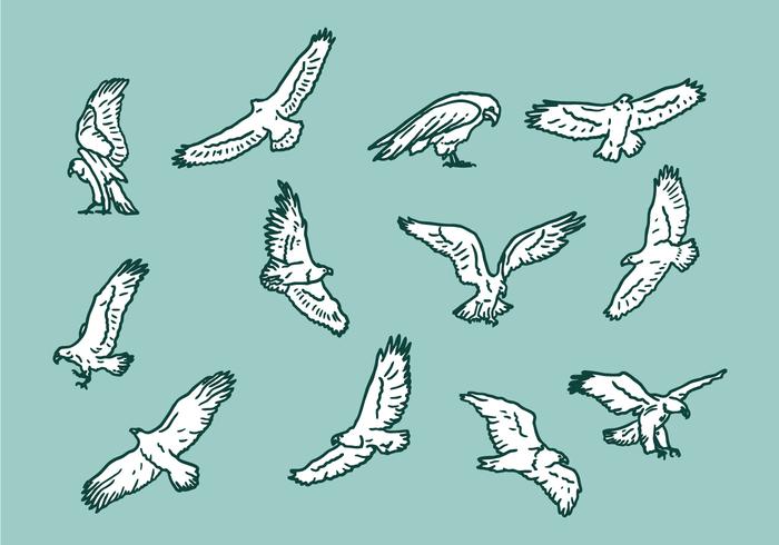 Buzzard Eagle Vector Icons