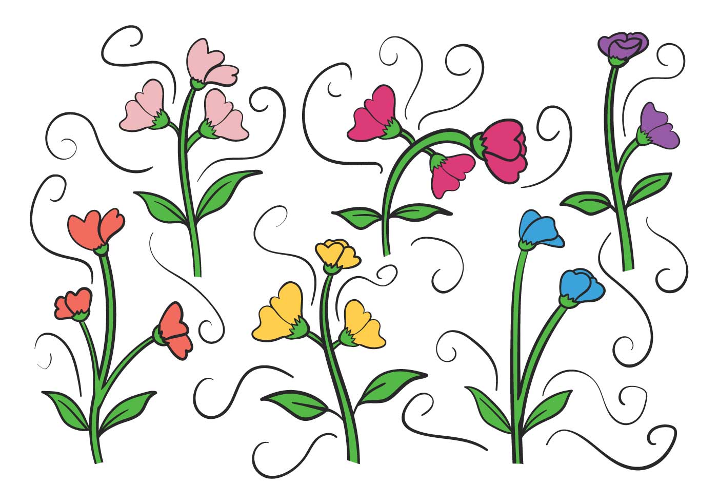 Download Sweet pea vector set 164101 - Download Free Vectors ...