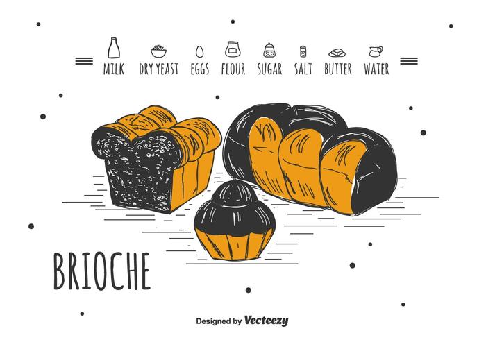 Brioche Vector