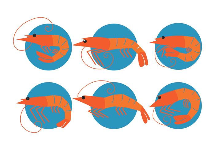 Prawns vector set