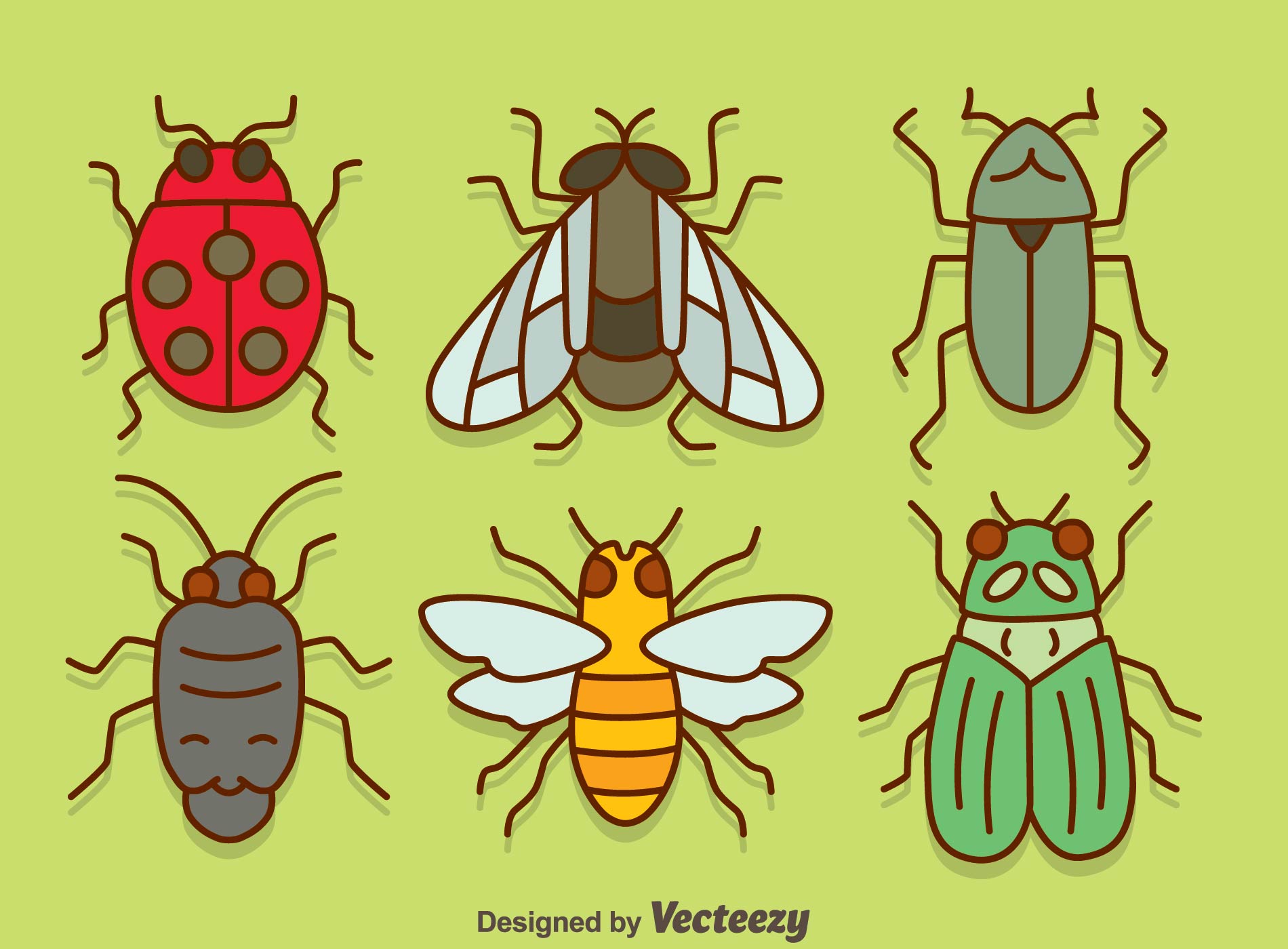 Download Bugs Collection On Green Vector - Download Free Vectors, Clipart Graphics & Vector Art