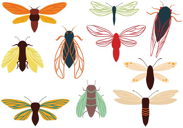 Free Cicadas Moths Vectors