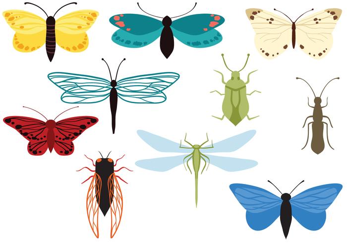 Vectores de insectos gratis