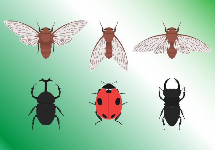 Tropical Insects Set vector