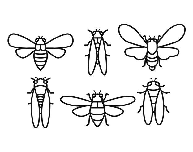 Cicada vector set