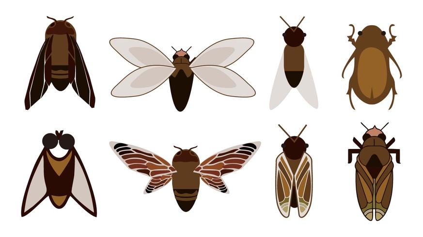 Vector de iconos de insectos gratis