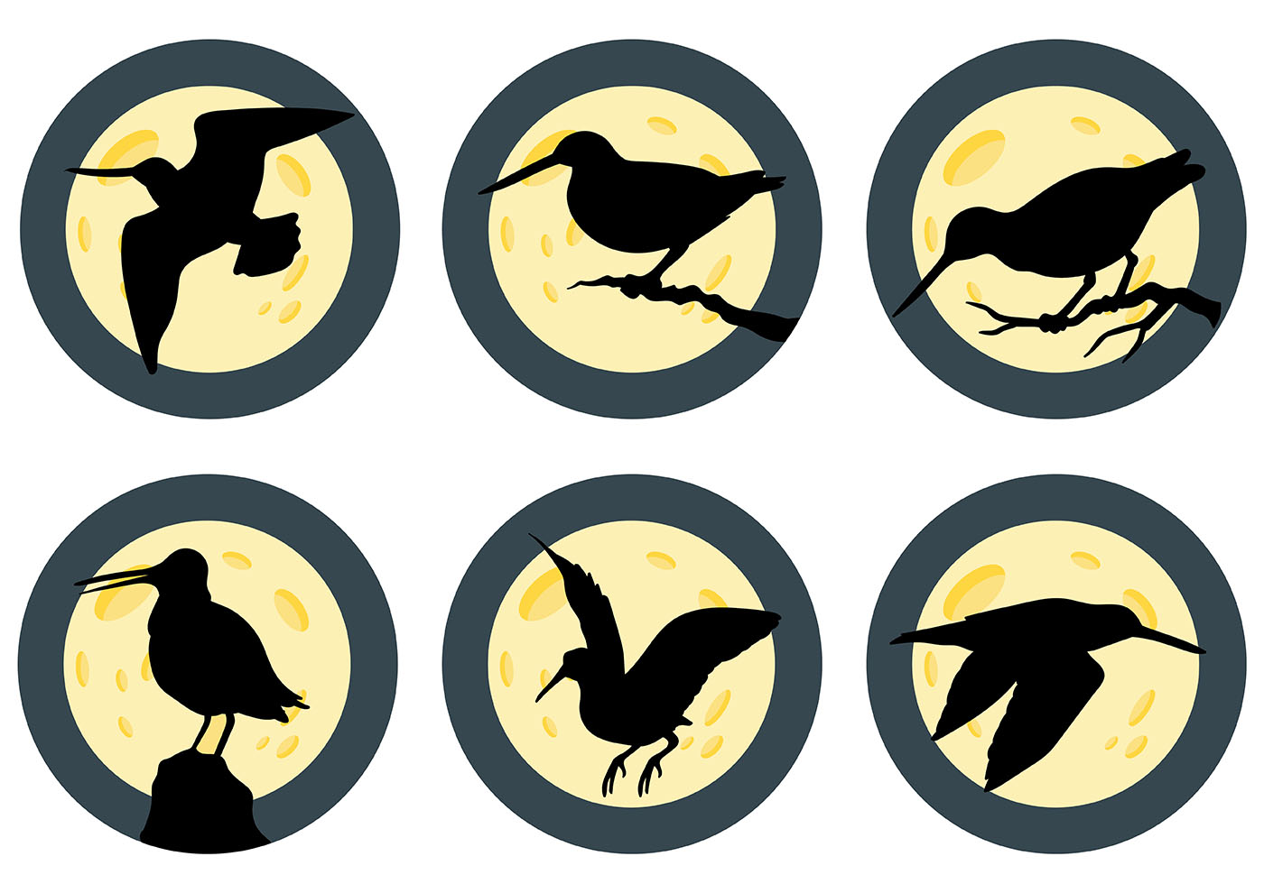 Snipe Vector Silhouette 164861 Vector Art at Vecteezy