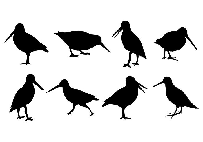 Silhouette Snipe Free Vector