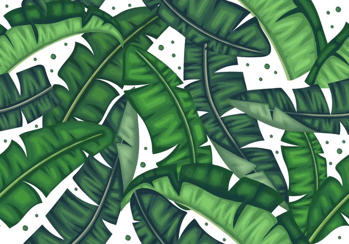 Botanical Banana Leaves Seamless Pattern vector