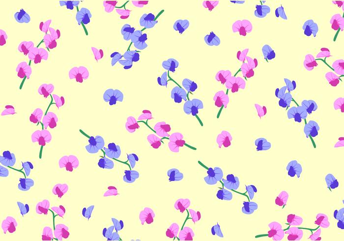 Sweet Pea Pattern Free Vector