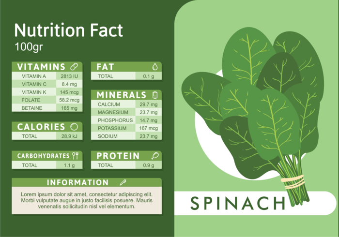 Spinach Nutrition Facts  vector