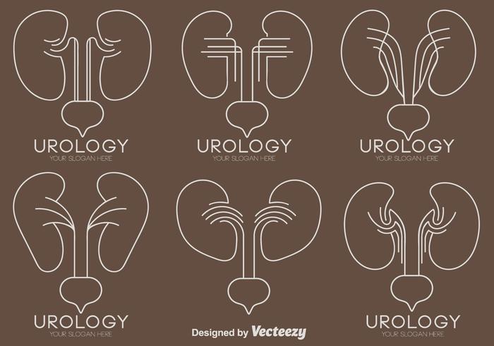 Vector Set Kidney With Bladder Icons In Line Style