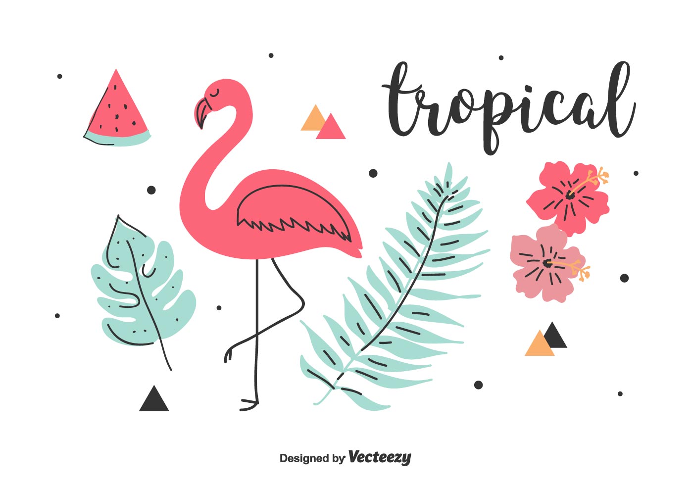 Tropical Vector Set 165050 Vector Art at Vecteezy