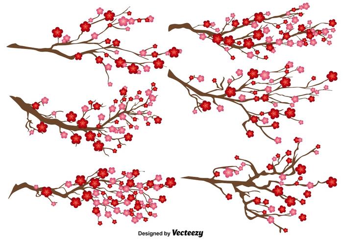 Japanese Plum Blossom Vector Set