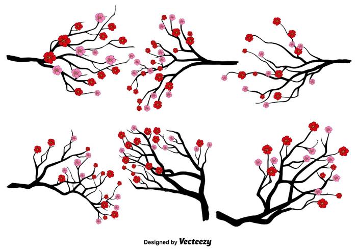 Conjunto de Vector de flor de ciruelo japonés