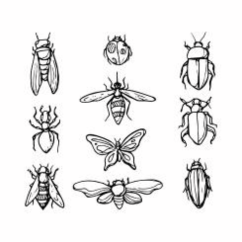 Vector libre del icono del insecto del bosquejo