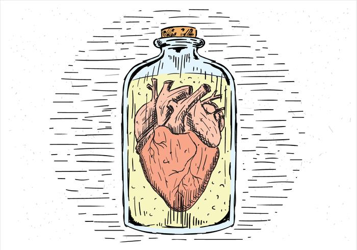 Free Hand Drawn Vector Heart In a Jar 