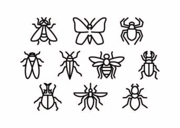 Free Insect Line Icon Vector