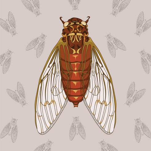 Cicada Hand Drawn Illustration With Pattern Background vector