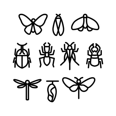 Vector de icono de línea libre de insectos