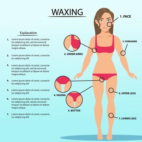 Description Of Women Waxing vector