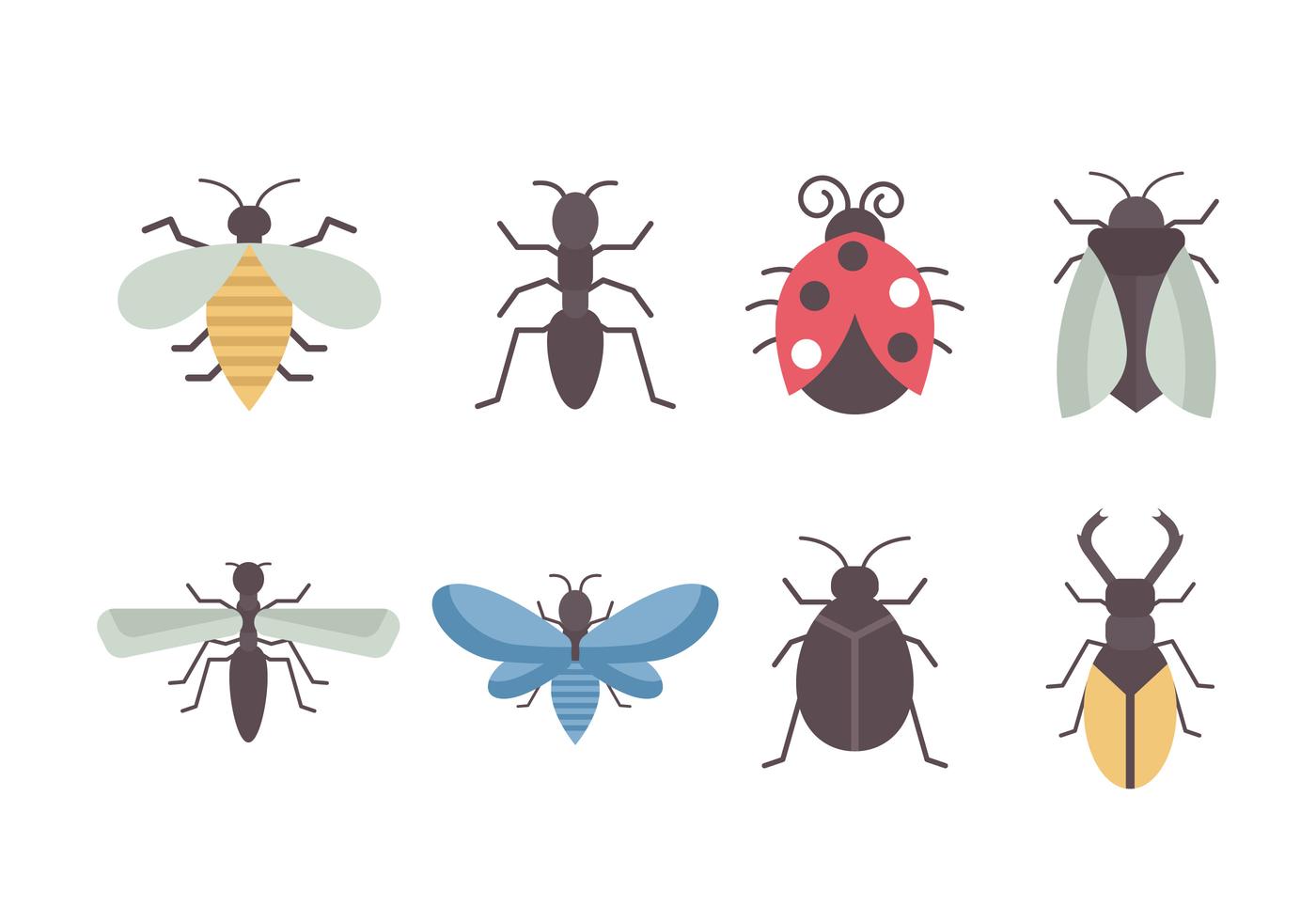 Free Insects Vector Collection 165448 Vector Art at Vecteezy